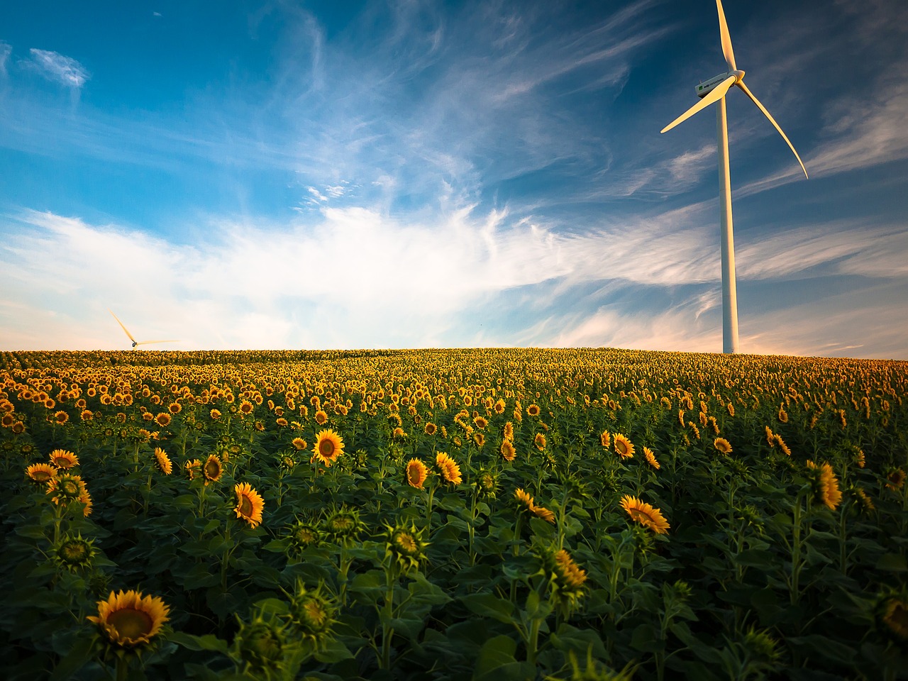 Huls Windenergies: Ontdek Duurzame Energieoplossingen